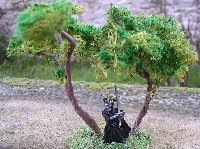Arbre double (Bouche de Sauron pour l'chelle). N 046, 11/2004.