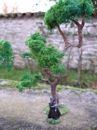 Arbre. N 047, 11/2004.