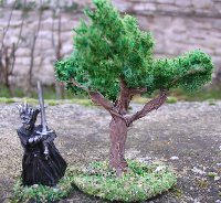 Arbre. N 048, 11/2004.