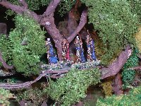 Groupe de 3 arbres avec plate-formes, échelles et passerelles.
