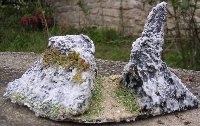 Deux blocs calcaires sur plaque. N 029, 09/2004.