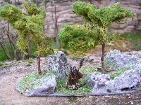 2 arbres de Fanghorn + blocs calcaires. N 044, 09/2004.