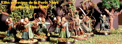 Elfes de la Fort Sombre, mens par Trandhuil et Legolas